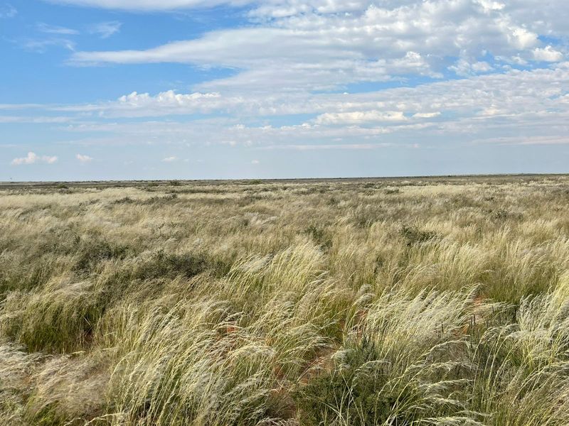 Expansive view of open grassland and natural veld landscape under a clear blue sky.