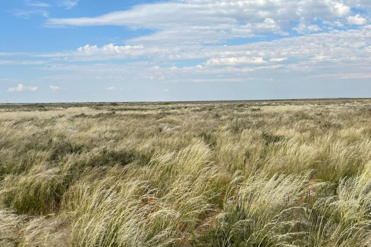 Expansive view of open grassland and natural veld landscape under a clear blue sky.