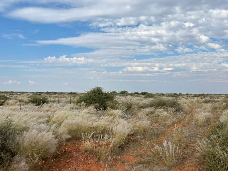 A wide-angle view of the expansive, natural veld landscape featuring native grasses, shrubs, and traditional wire farm fencing under a vast sky.