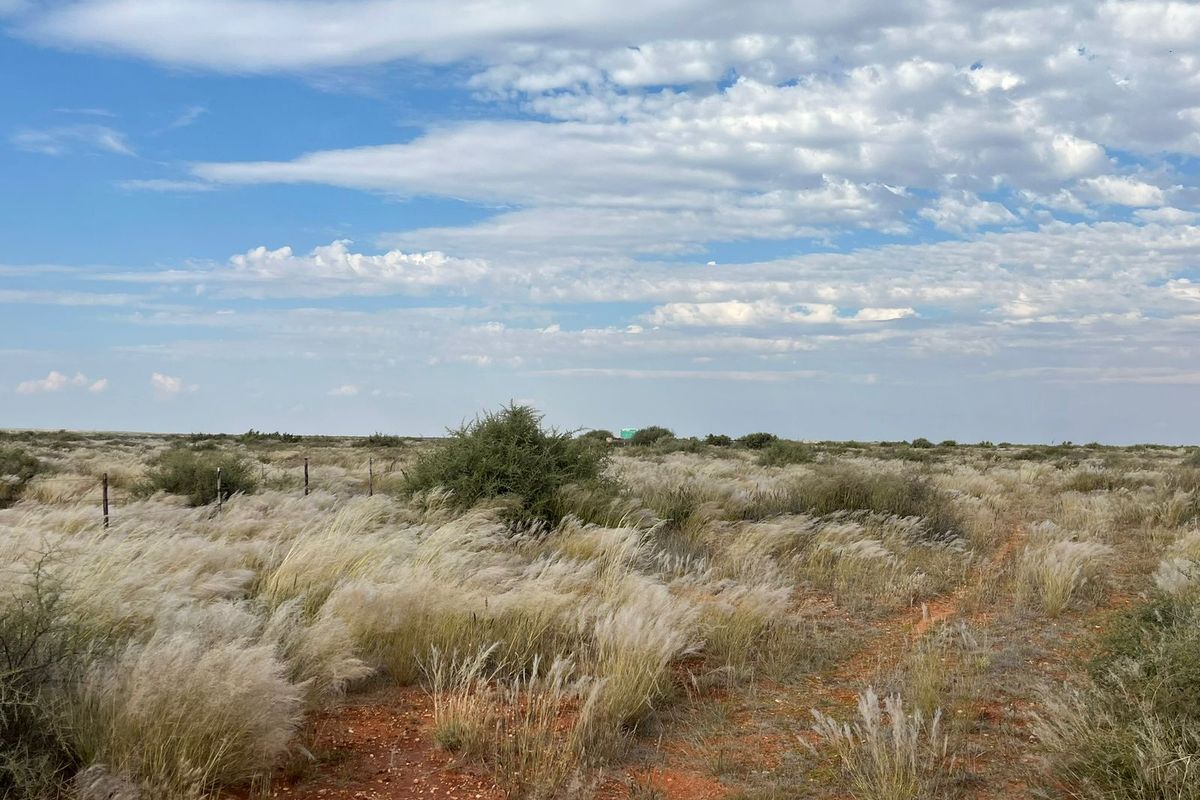 A wide-angle view of the expansive, natural veld landscape featuring native grasses, shrubs, and traditional wire farm fencing under a vast sky.