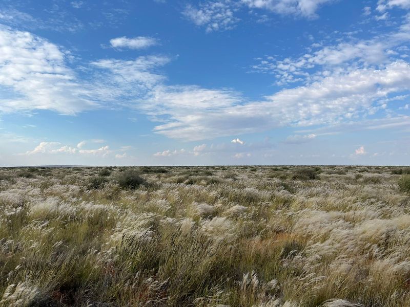 Expansive view of open grassland and natural veld landscape under a clear blue sky.