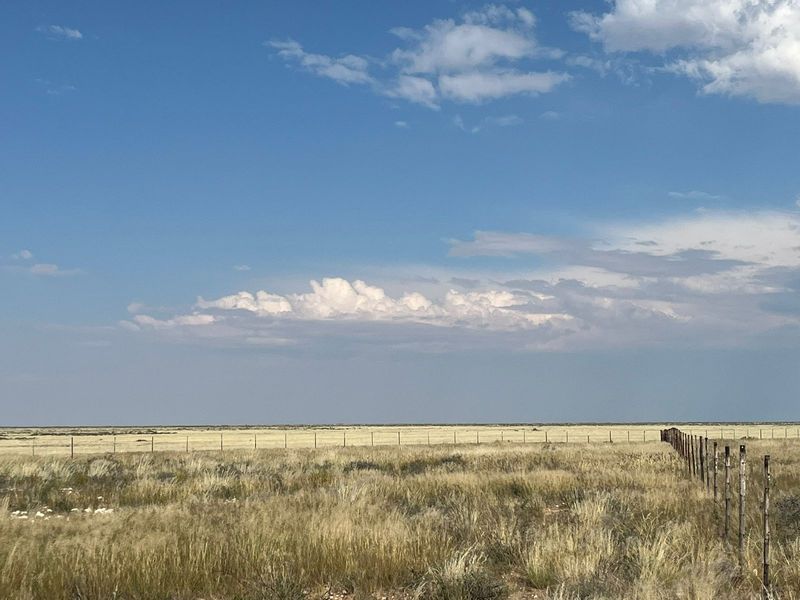 Uitsonderlike netjiese plaas te koop in die Bo-Karoo - Photo 9