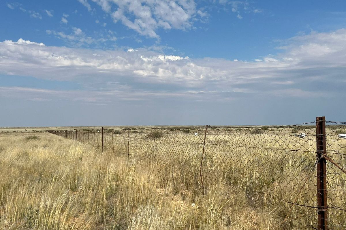 Uitsonderlike netjiese plaas te koop in die Bo-Karoo - Photo 4