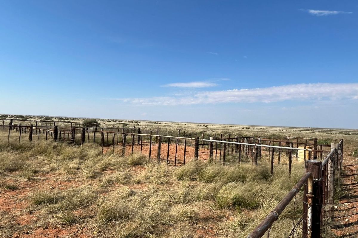 Uitsonderlike netjiese plaas te koop in die Bo-Karoo - Photo 2