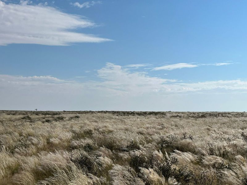 Uitsonderlike netjiese plaas te koop in die Bo-Karoo - Photo 6