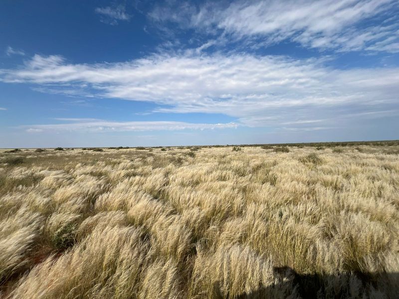Uitsonderlike netjiese plaas te koop in die Bo-Karoo - Photo 3