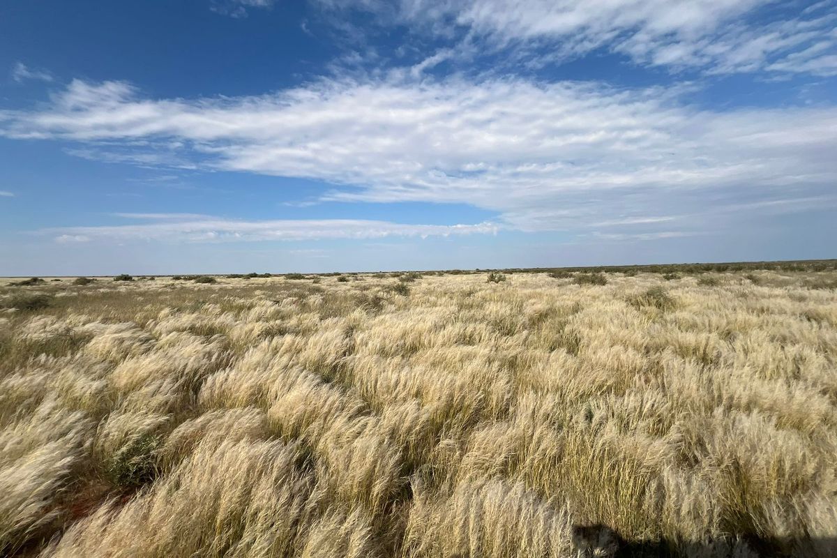 Uitsonderlike netjiese plaas te koop in die Bo-Karoo - Photo 3