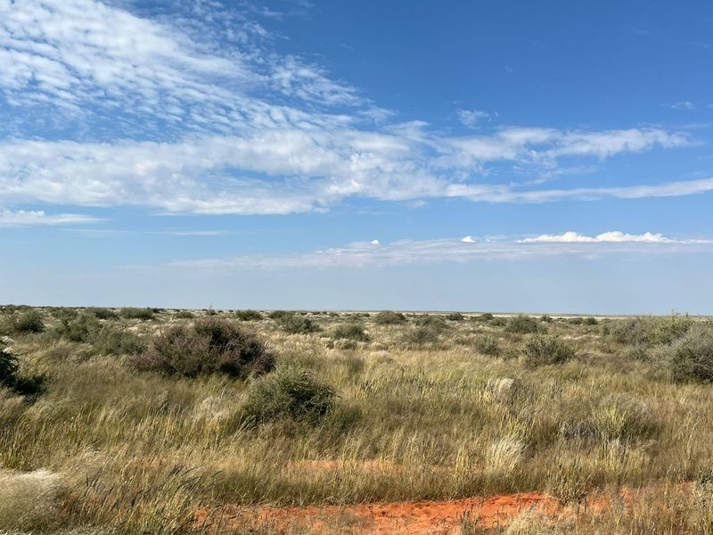 Uitsonderlike netjiese plaas te koop in die Bo-Karoo - Photo 5