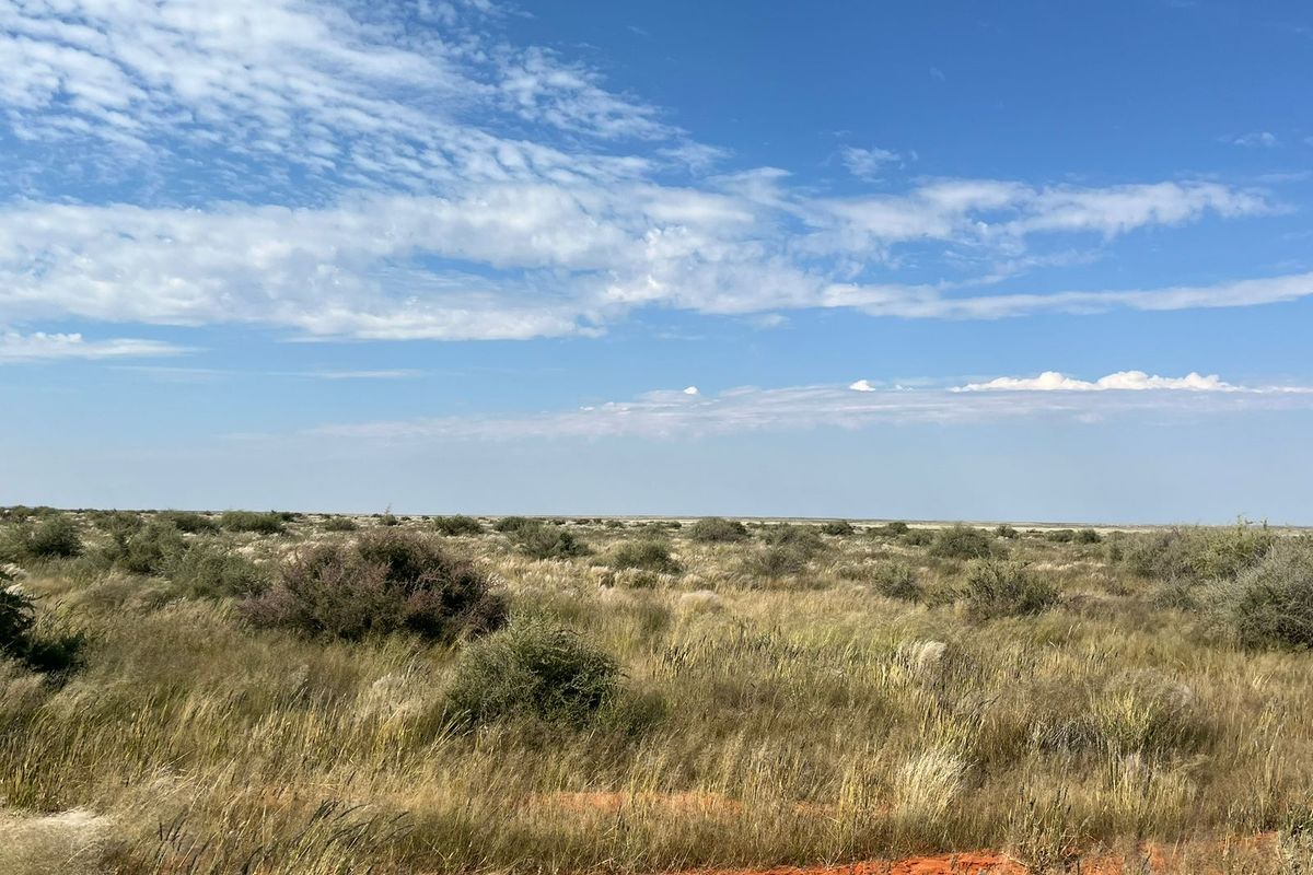 Uitsonderlike netjiese plaas te koop in die Bo-Karoo - Photo 5