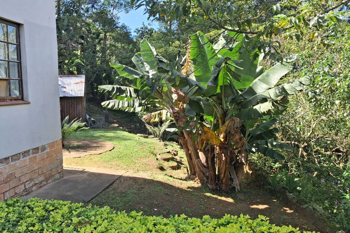 Older Thatch house looking for a family - Photo 3