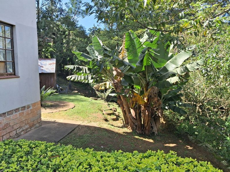 Older Thatch house looking for a family - Photo 3