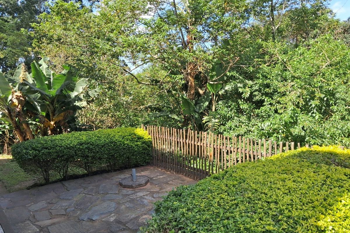 Older Thatch house looking for a family - Photo 2