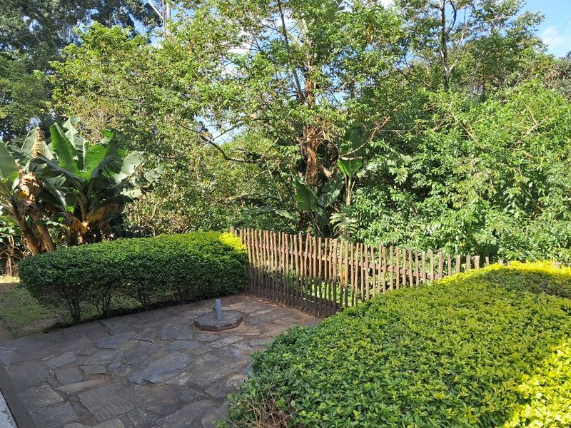 Older Thatch house looking for a family - Photo 2