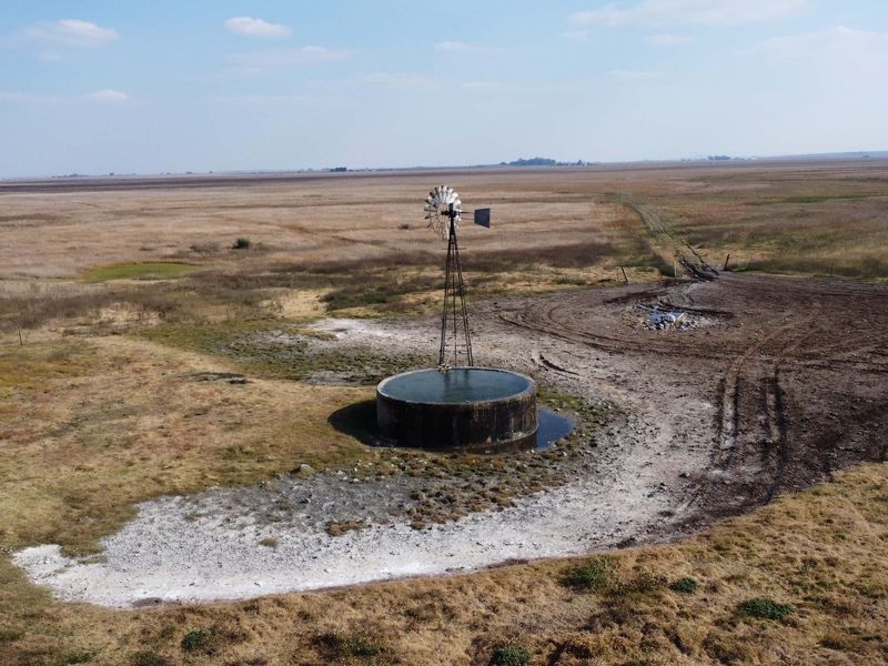 Uitsonderlike bedekking: Rooigras weidingsplaas - Photo 9