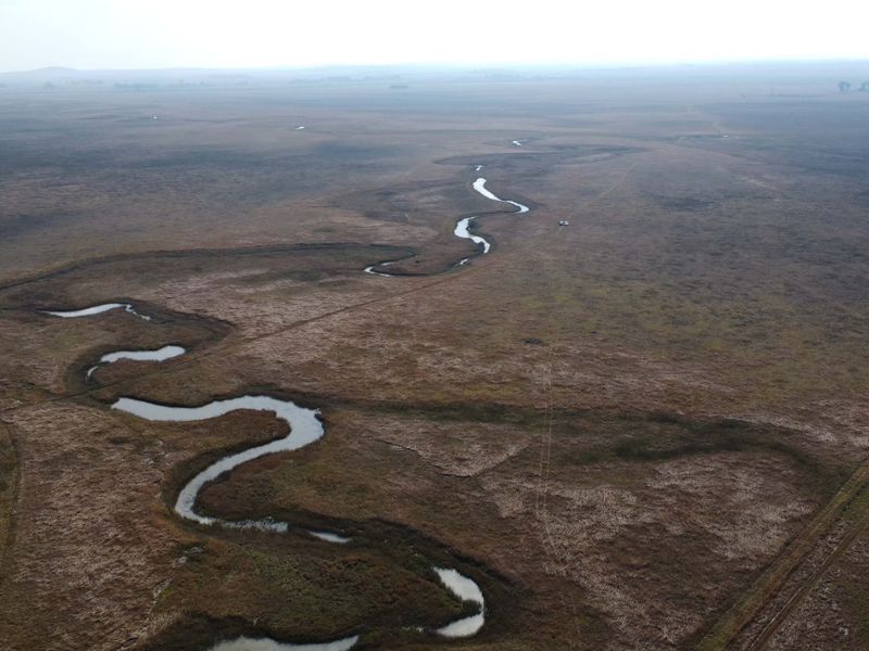Uitsonderlike bedekking: Rooigras weidingsplaas - Photo 3