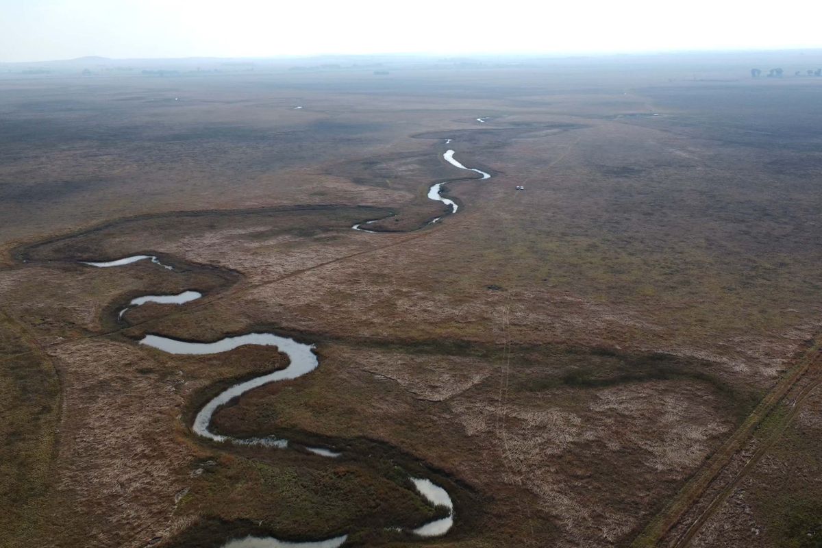 Uitsonderlike bedekking: Rooigras weidingsplaas - Photo 3