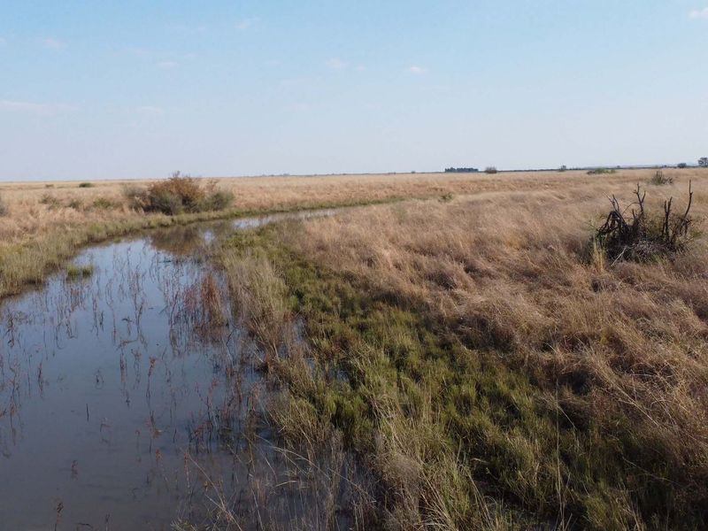 Uitsonderlike bedekking: Rooigras weidingsplaas - Photo 2