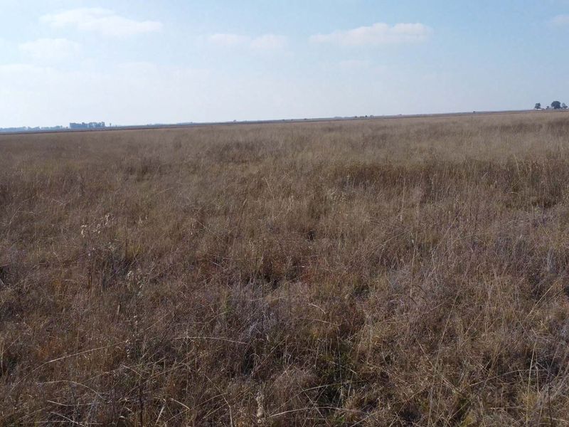 Uitsonderlike bedekking: Rooigras weidingsplaas - Photo 7