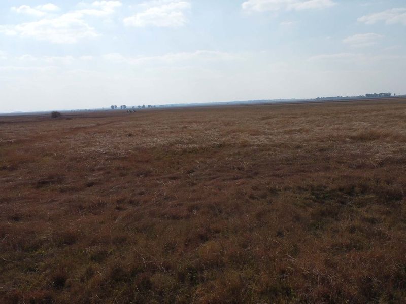 Uitsonderlike bedekking: Rooigras weidingsplaas - Photo 6