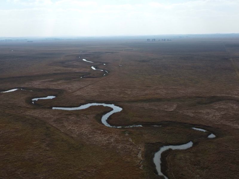Uitsonderlike bedekking: Rooigras weidingsplaas - Photo 4
