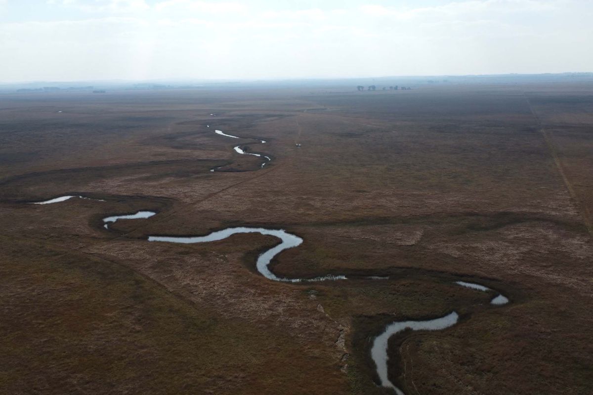 Uitsonderlike bedekking: Rooigras weidingsplaas - Photo 4