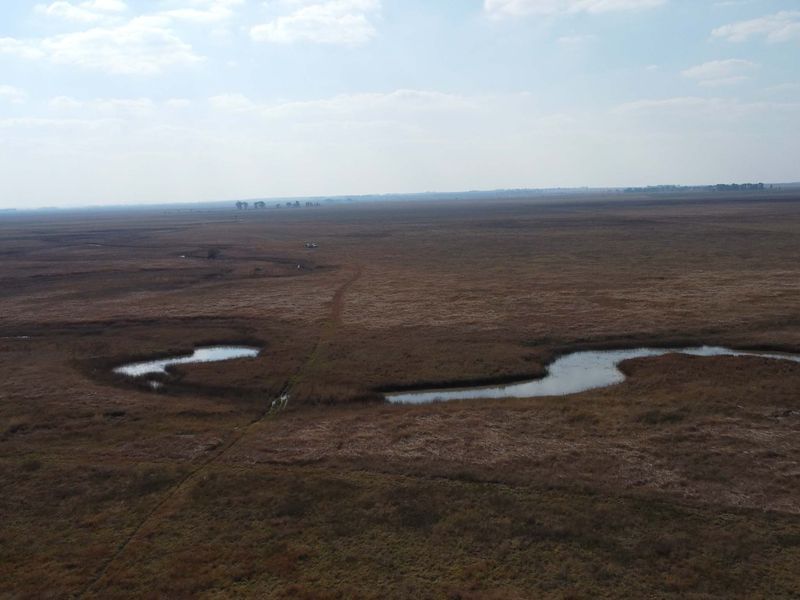 Uitsonderlike bedekking: Rooigras weidingsplaas - Photo 5