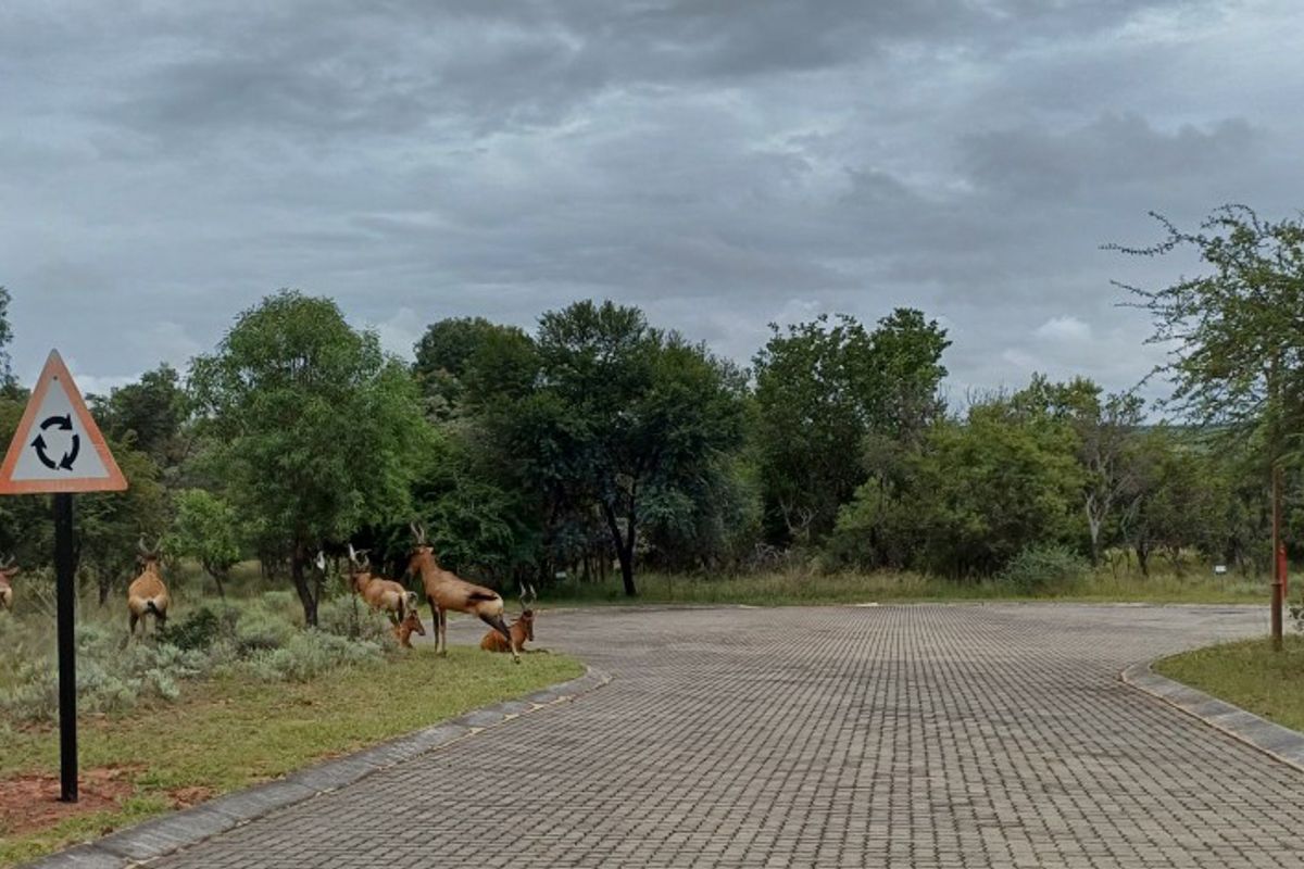 Vacant Stand for Sale in Koro Creek Golf Estate, Modimolle - Photo 2