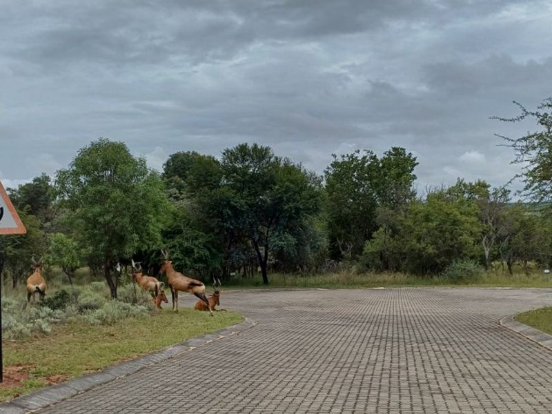 Vacant Stand for Sale in Koro Creek Golf Estate, Modimolle - Photo 2