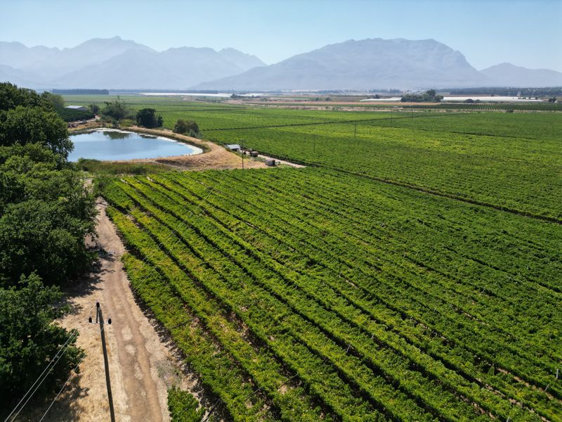 Veiling, Twee plase, Porterville Halfmanshof - Photo 1