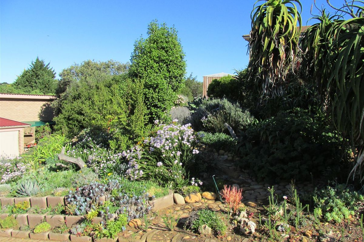 Double the Potential! 1649m2 Stand with Existing Home & Approved Building Plans for Second Dwelling - Photo 2