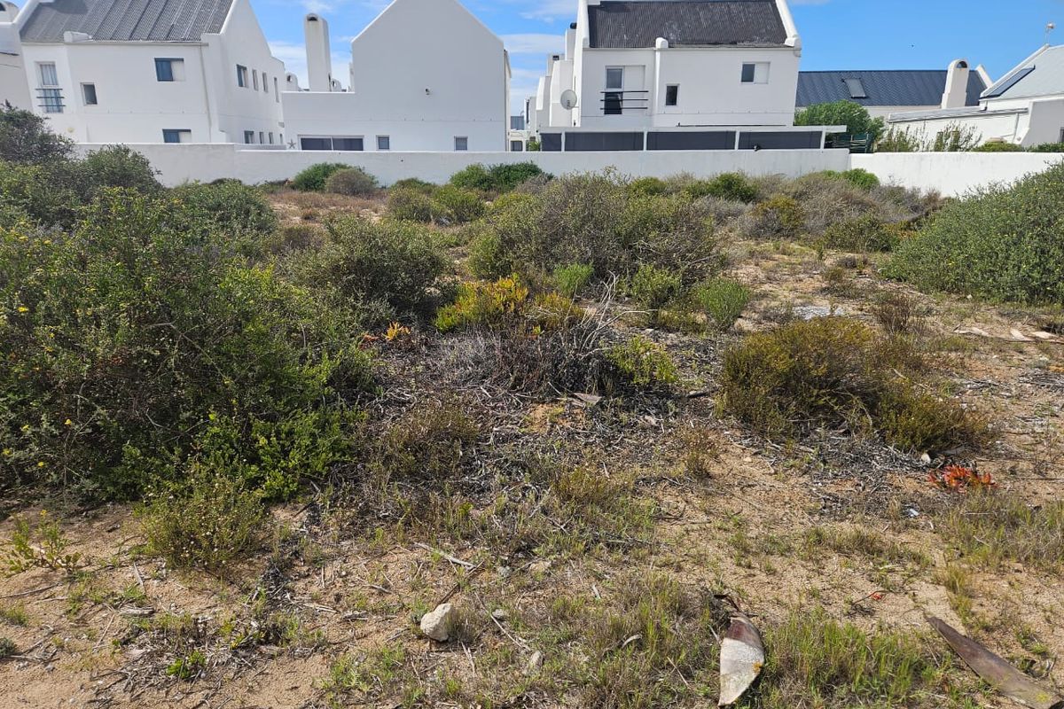 Prime Stand for Sale in Lampies Bay – Exceptional Value - Photo 5