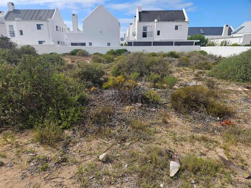 Prime Stand for Sale in Lampies Bay – Exceptional Value - Photo 5