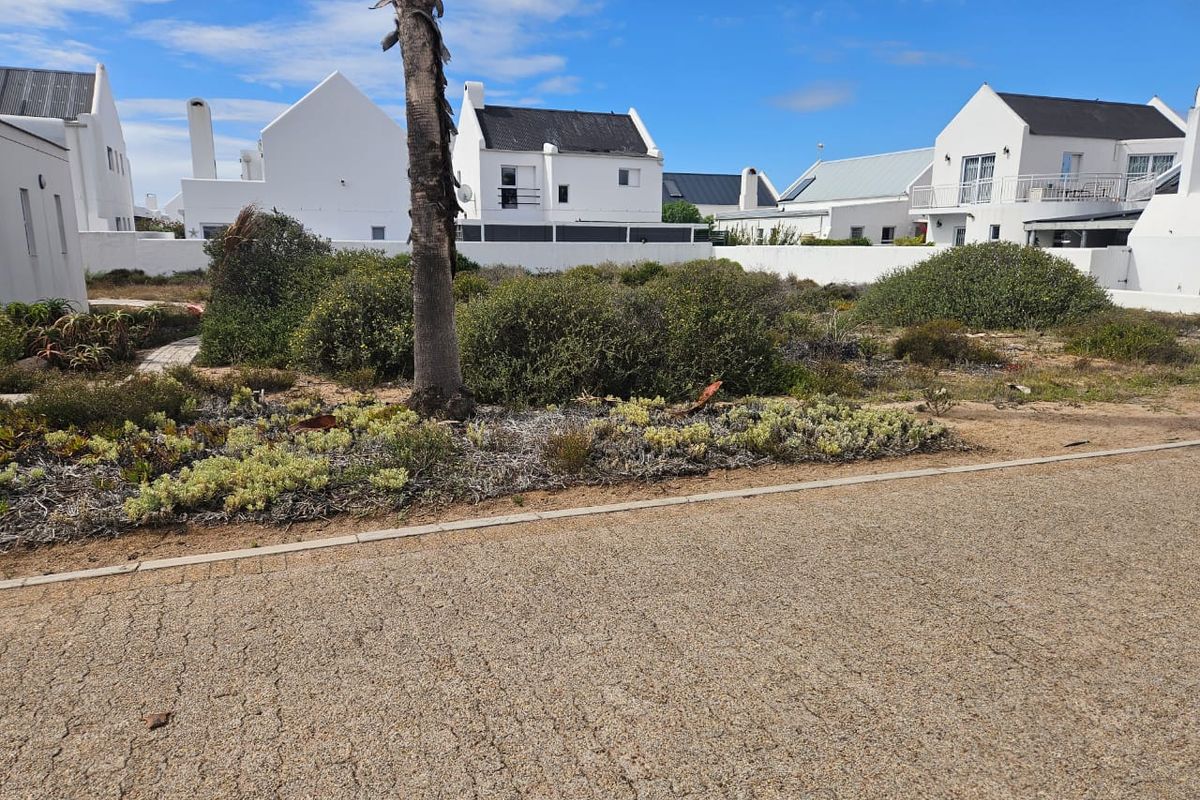 Prime Stand for Sale in Lampies Bay – Exceptional Value - Photo 3