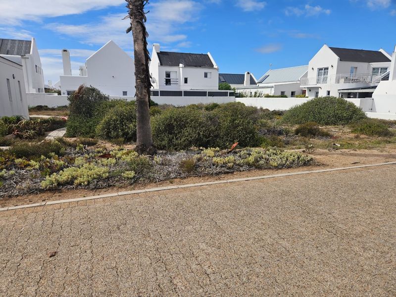 Prime Stand for Sale in Lampies Bay – Exceptional Value - Photo 3