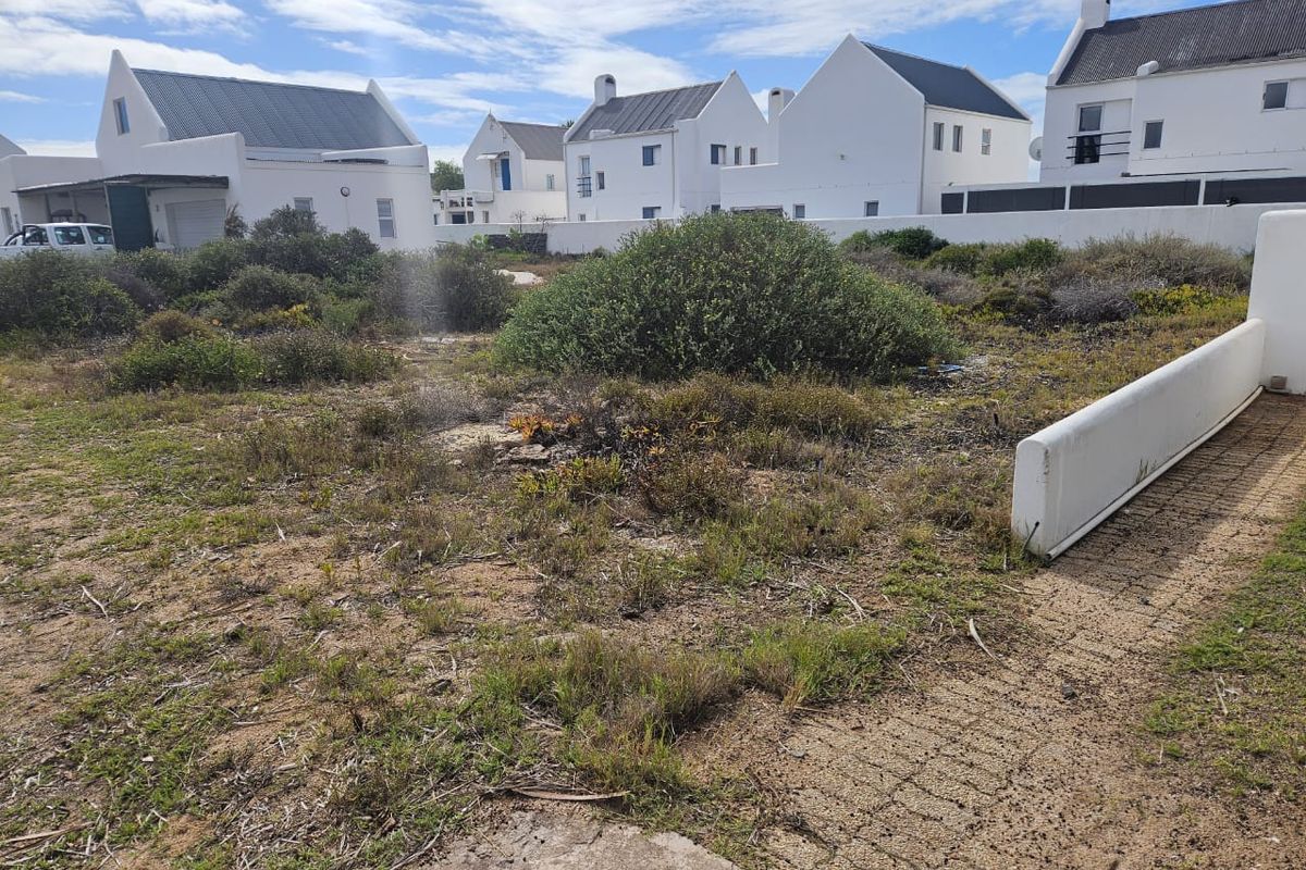 Prime Stand for Sale in Lampies Bay – Exceptional Value - Photo 4