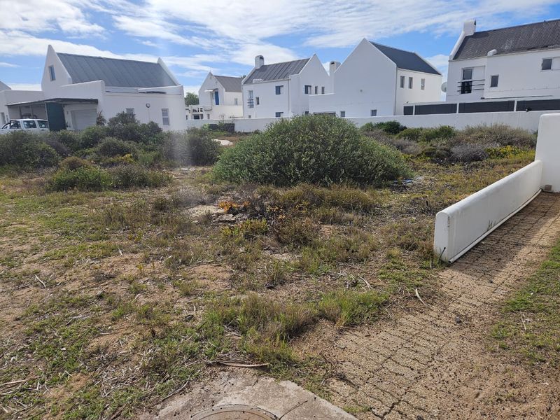 Prime Stand for Sale in Lampies Bay – Exceptional Value - Photo 4