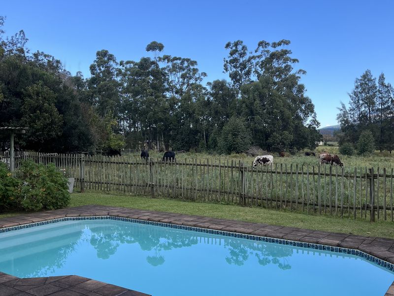 16,65ha Lifestyle farm & Established Guest House Business – Stutterheim, Eastern Cape - Photo 2