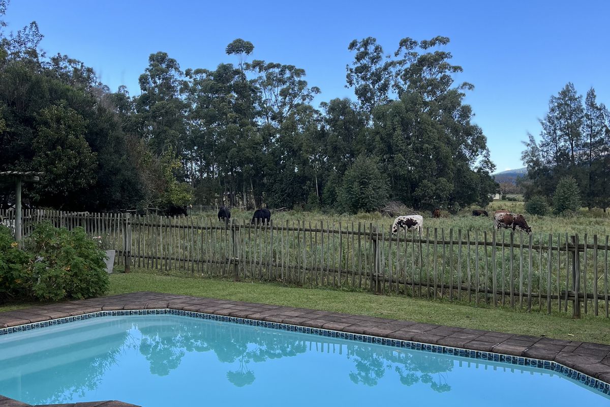 16,65ha Lifestyle farm & Established Guest House Business – Stutterheim, Eastern Cape - Photo 2