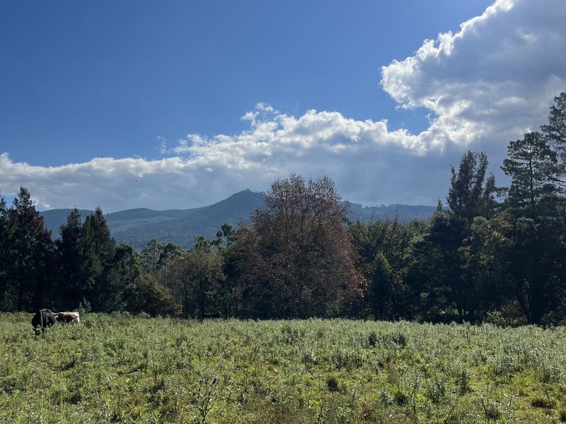 16,65ha Lifestyle farm & Established Guest House Business – Stutterheim, Eastern Cape - Photo 10