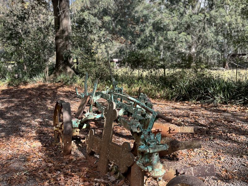 16,65ha Lifestyle farm & Established Guest House Business – Stutterheim, Eastern Cape - Photo 8