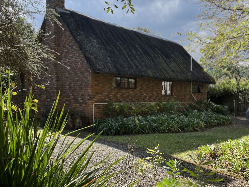 16,65ha Lifestyle farm & Established Guest House Business – Stutterheim, Eastern Cape - Photo 3