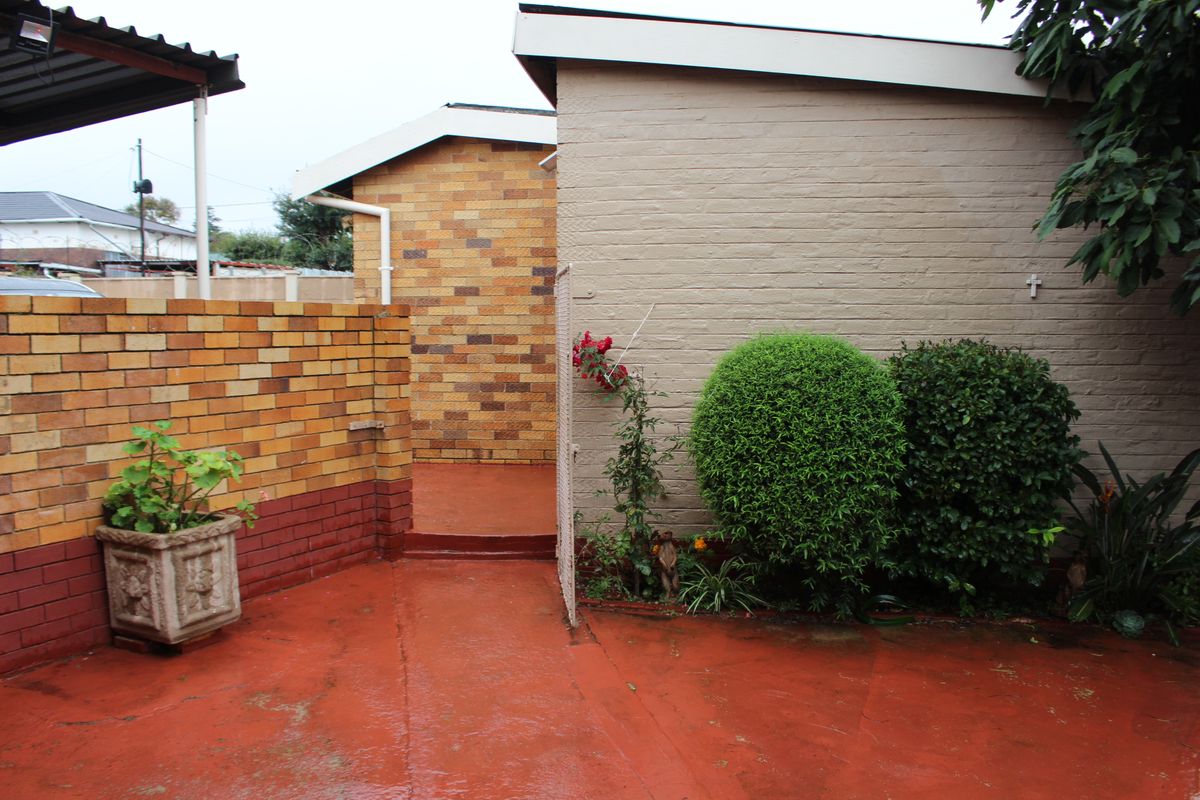 A rear exterior view showing a painted brick building facade, a brick boundary wall, and a paved patio area with established garden shrubs.