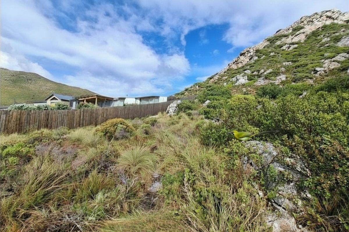 Prime Pringle Bay Vacant Land for Sale with Ocean and Mountain Views - Photo 2