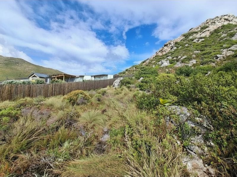Prime Pringle Bay Vacant Land for Sale with Ocean and Mountain Views - Photo 2