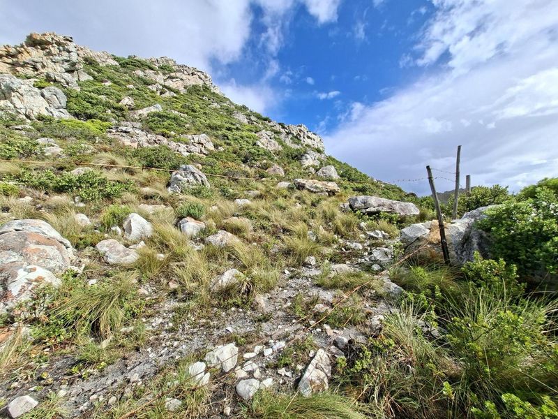 Prime Pringle Bay Vacant Land for Sale with Ocean and Mountain Views - Photo 9