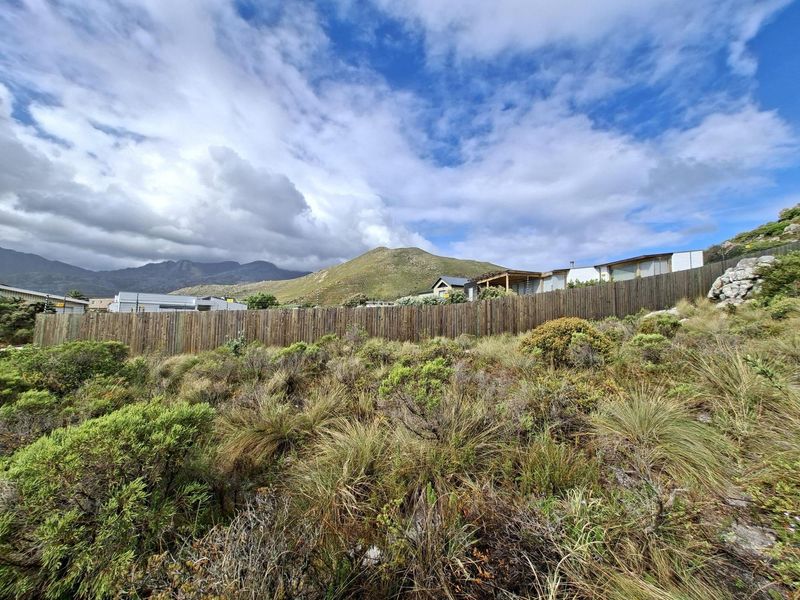 Prime Pringle Bay Vacant Land for Sale with Ocean and Mountain Views - Photo 10