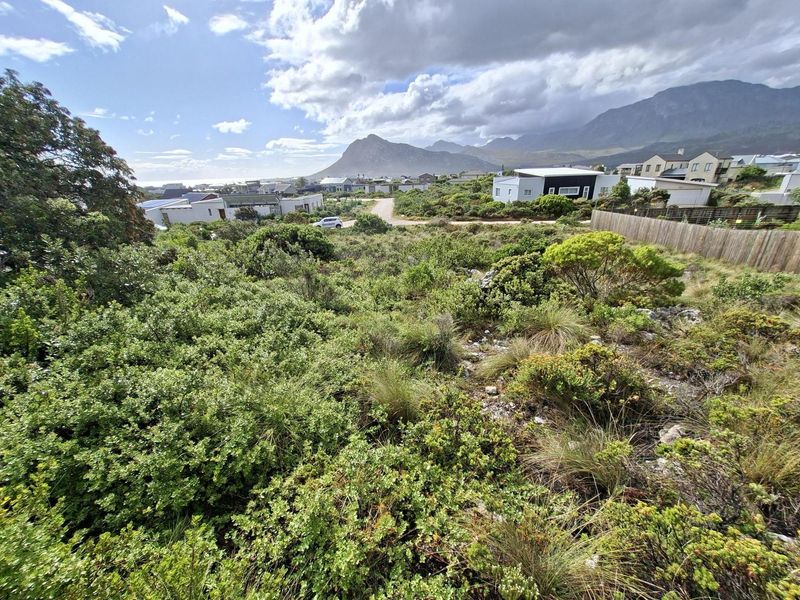 Prime Pringle Bay Vacant Land for Sale with Ocean and Mountain Views - Photo 5
