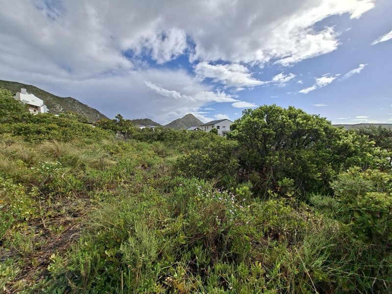 Prime Pringle Bay Vacant Land for Sale with Ocean and Mountain Views - Photo 8