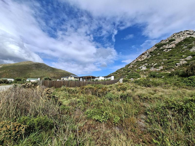 Prime Pringle Bay Vacant Land for Sale with Ocean and Mountain Views - Photo 6