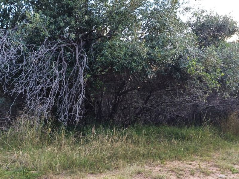 Vacant Stand for Sale in Koro Creek Golf Estate - Photo 10